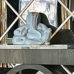 Raja Ganesh. (3No. C)