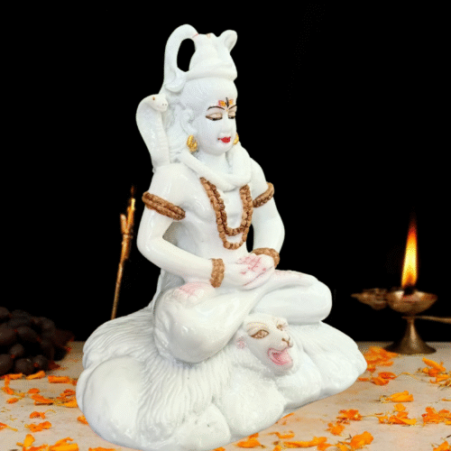 shivji [ 1no. E] - Image 3
