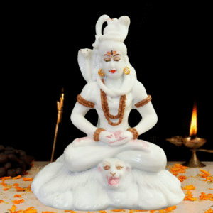 shivji [ 1no. E]