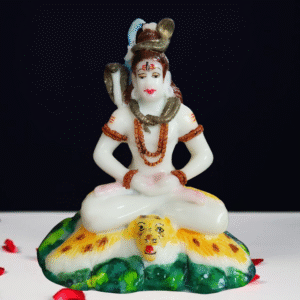 Shivji (1NO. C)