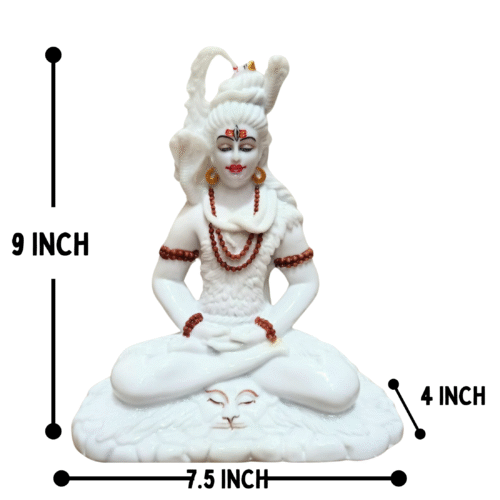 Shivji (2NO. E) - Image 4