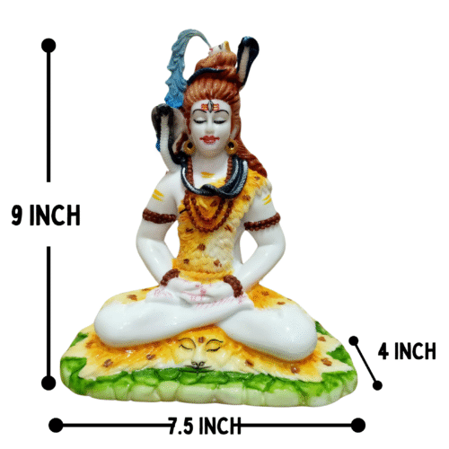 Shivji (2NO. C) - Image 4