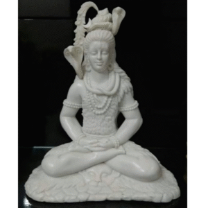 Shivji (3NO. W)