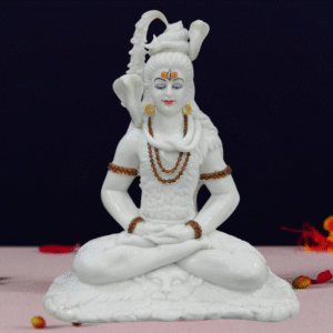 Shivji (3NO. E)