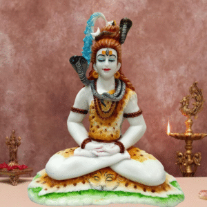 Shivji (3NO. C)