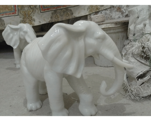 Small African elephant - Image 2