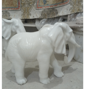 Big African elephant