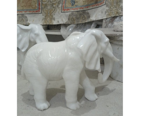 Big African elephant