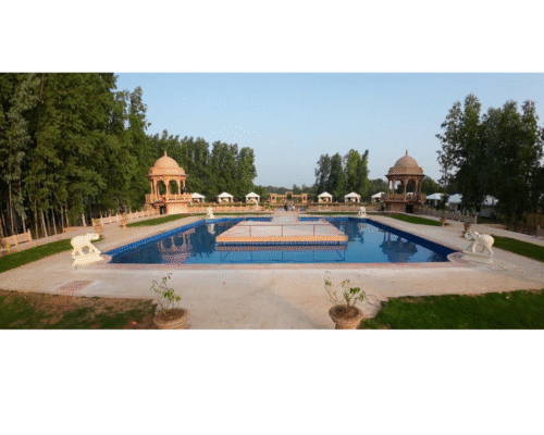 New Big elephant - Image 15
