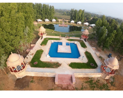 New Big elephant - Image 16