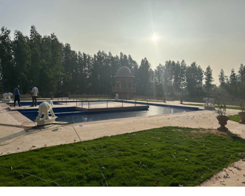 New Big elephant - Image 17